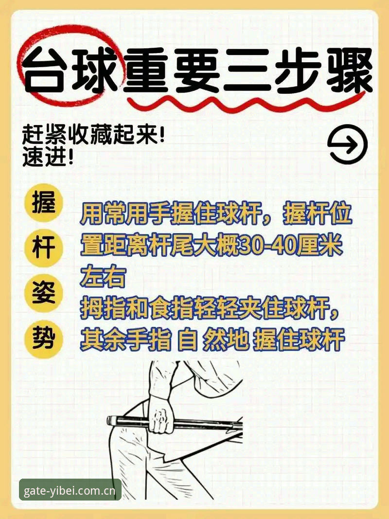 易贝体育使用教程：新手如何快速上手并获取最新版本？